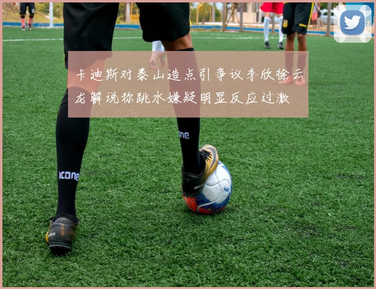 卡迪斯对泰山造点引争议李欣徐云龙解说称跳水嫌疑明显反应过激