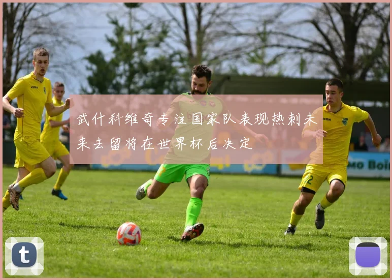 武什科维奇专注国家队表现热刺未来去留将在世界杯后决定
